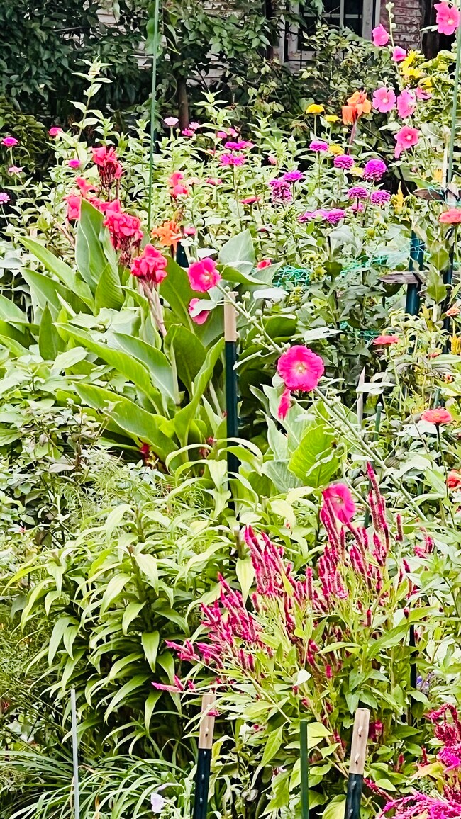 Photo - 2300 19th St NW Unit 2