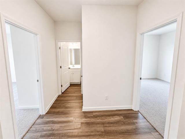 Photo - 3008 Lacebark Ct