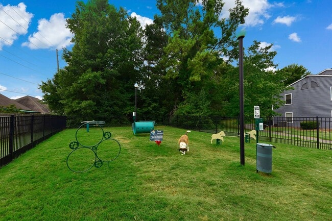 Leash Free Bark Park + Obstacle Course