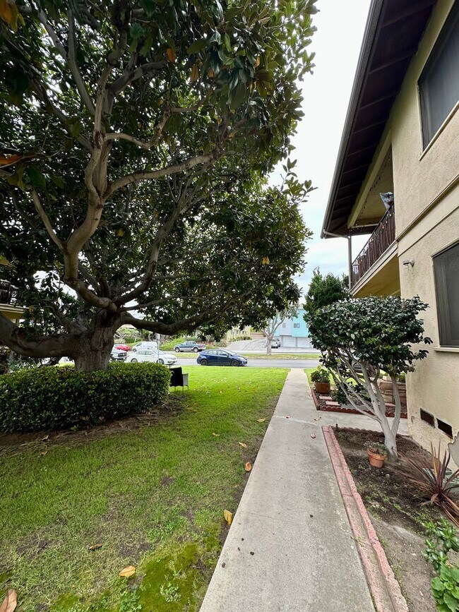 Photo - 321-325 Calle Miramar