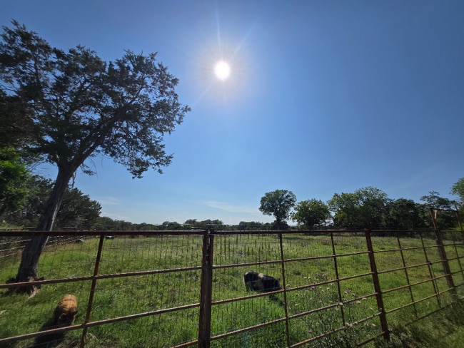 Photo - 606 Blessing Ranch Rd