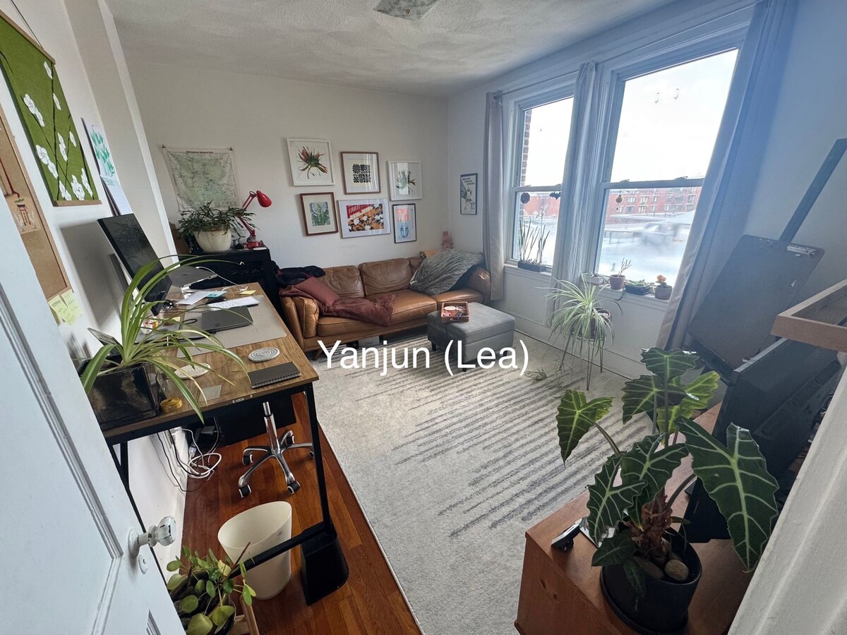 JUNE Allston Charming 1bed split! - Studen... - JUNE Allston Charming 1bed split! - Studen... Casa