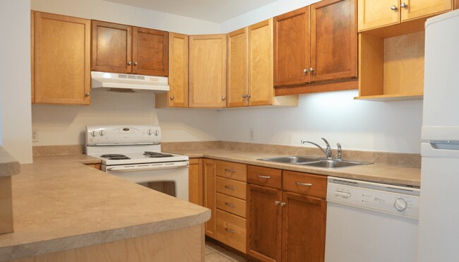 Photo - 65 Bonaccord Street