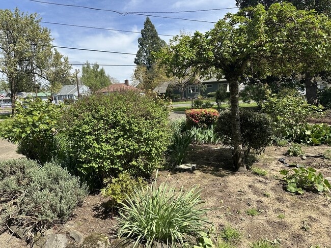 Photo - 795 E College St