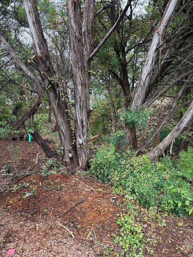 Photo - 7214 Comstock Cove