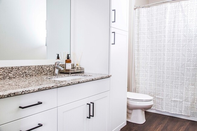 Two-Bedroom Apartment Bathroom