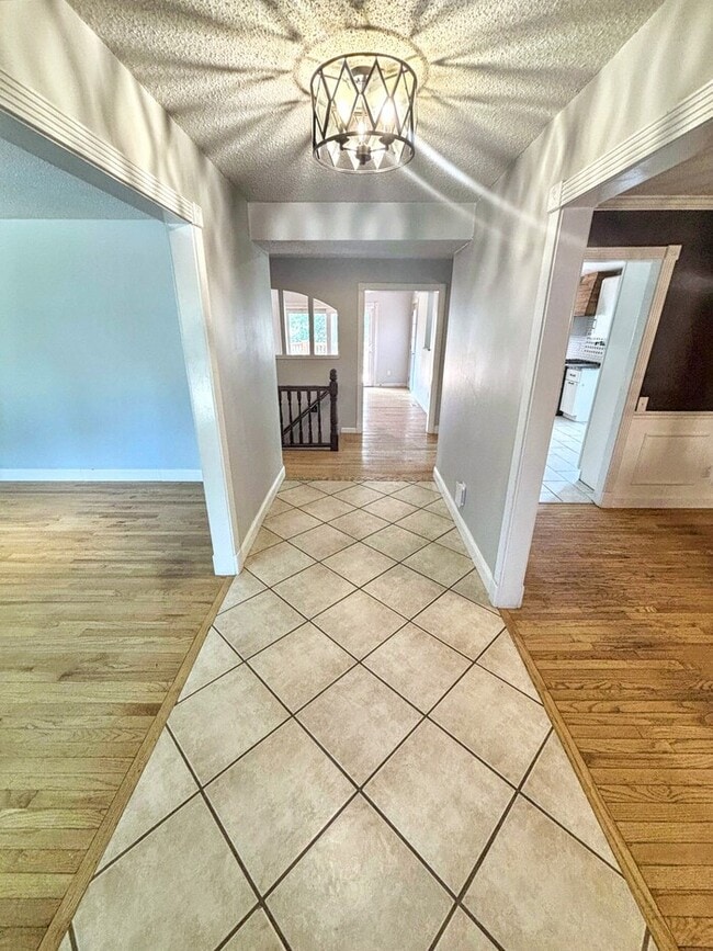 Photo - 813 Big Bend Woods Dr