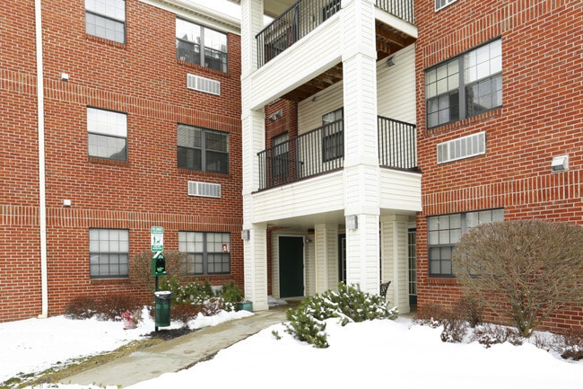 Photo - Angelique Woods