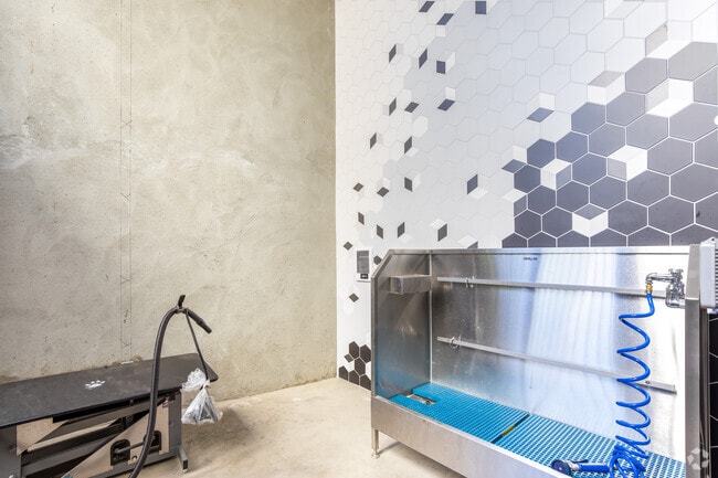 Pet Wash