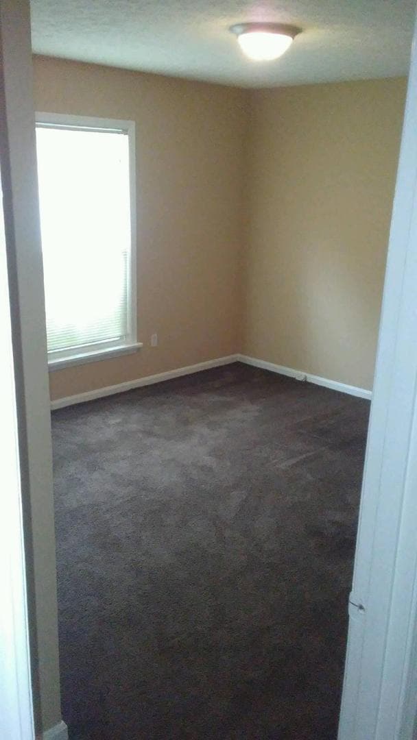 Photo - Nice 3BR/1.5BA Brick Ranch Convenient to W...