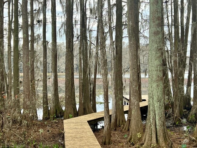 Photo - 1307 Munson Blvd