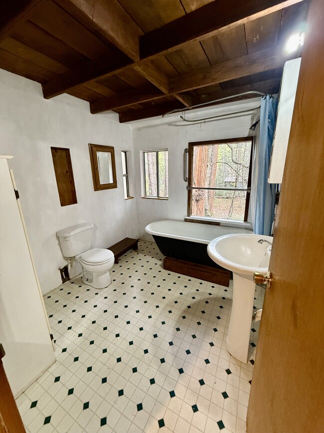 Photo - 17723 Lazy Dog Rd