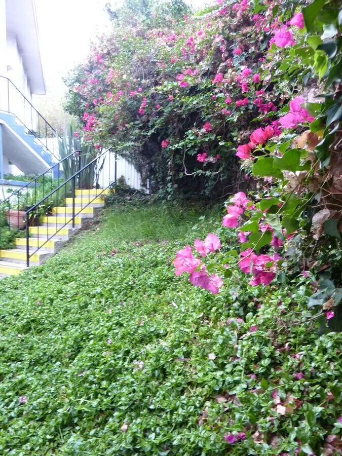 Photo - 16150-16174 W Sunset Blvd