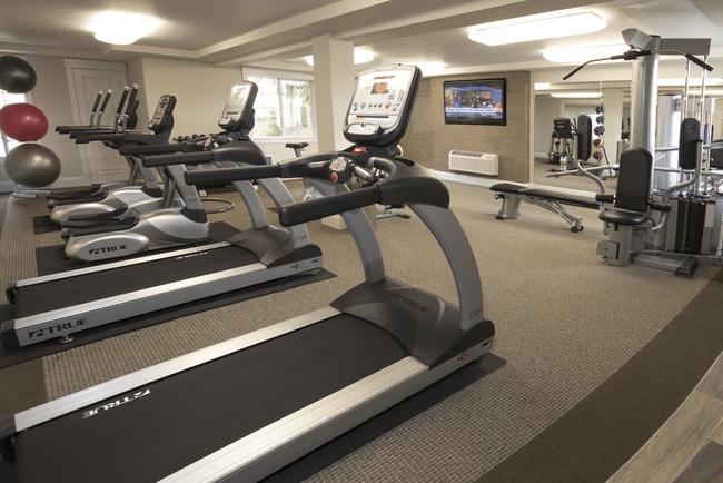 Explore Stonegate Apartments - Stonegate Apartments