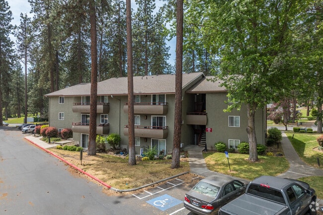 Tree Top Apartments