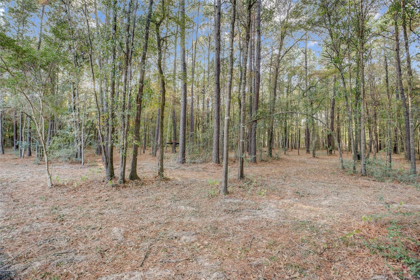 Photo - 1619 Chisos Bnd