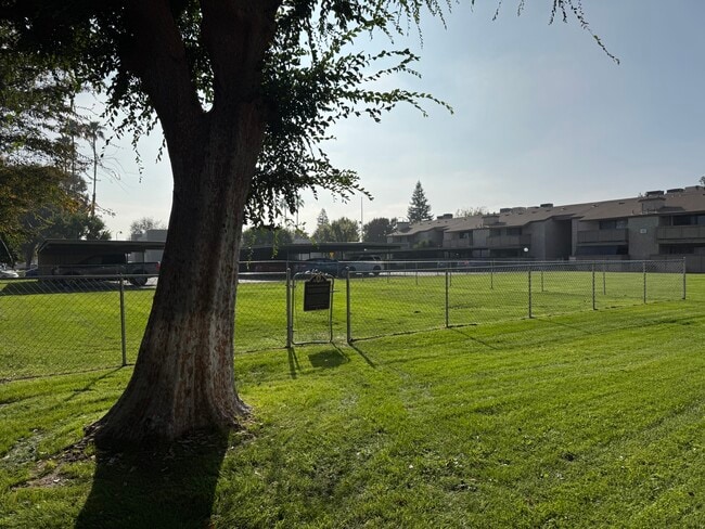 Dog Park