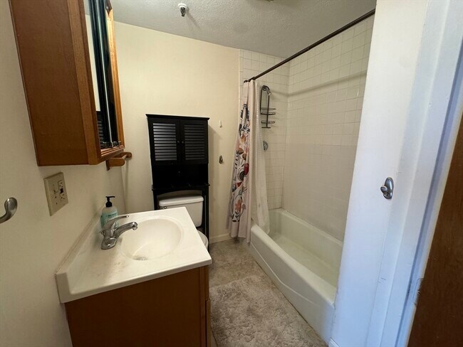 Photo - 176 W Springfield St Unit 2