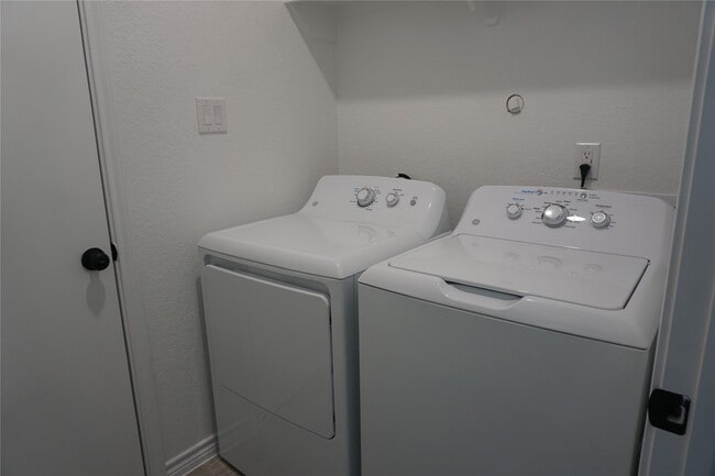 Photo - 9763 Black Gum