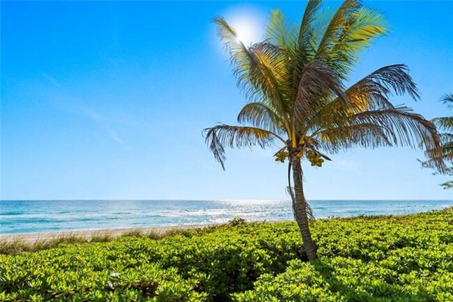 Photo - 1920 S Ocean Dr Unit 1920 S Ocean Dr  11B