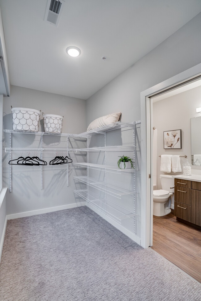 2 Bedroom - Primary Closet/Bathroom