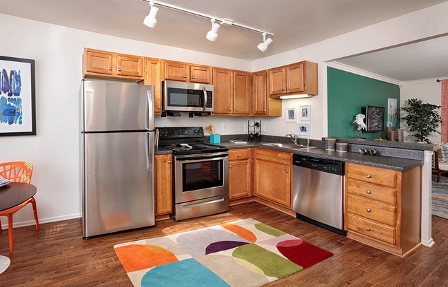 Cocina modelo de Hickory - Springfield Apartments