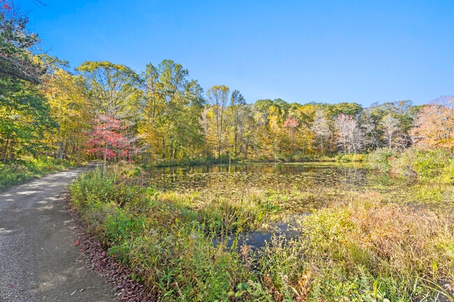 Photo - 497 Winthrop Rd