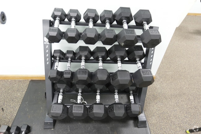 Free Weights