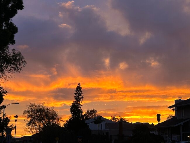 View from living room - 24432 Alta Vista Dr