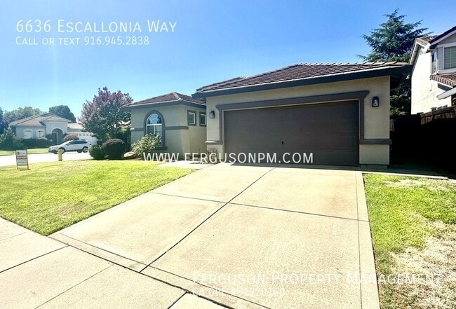 Photo - 6636 Escallonia Way