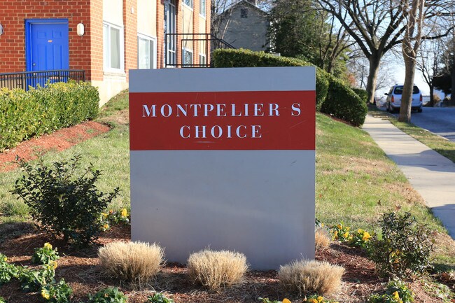 Montpelier's Choice - Montpelier's Choice