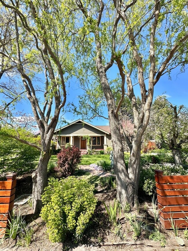 Building Photo - 3 Bedroom 2 Bath House