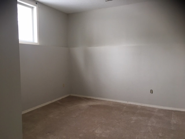 Photo - 2 Bed 1 Bath Unit in Olds, AB Unit Lower