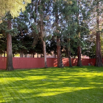 Photo - 10302 141st St Ct E