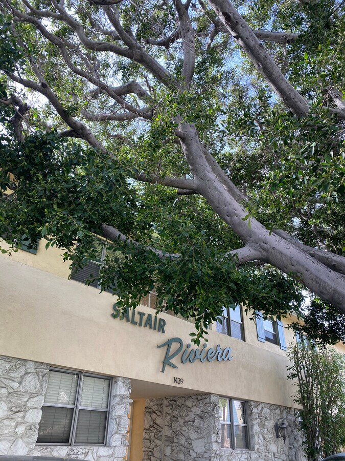 1439 Saltair Ave - 1439 Saltair Ave