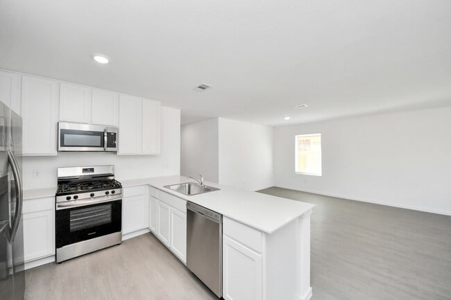 Photo - 29010 Pearl Barley Wy