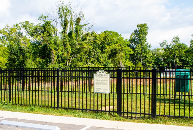 Dog Run