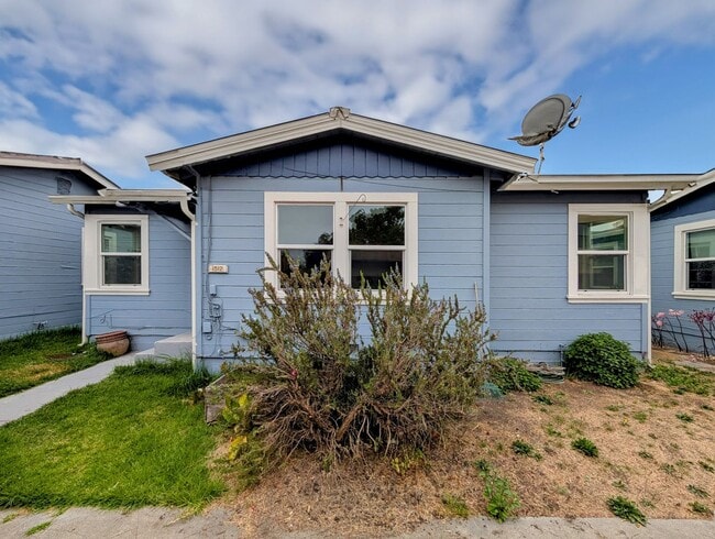 Photo - Charming one bed house in heart of Berkeley!
