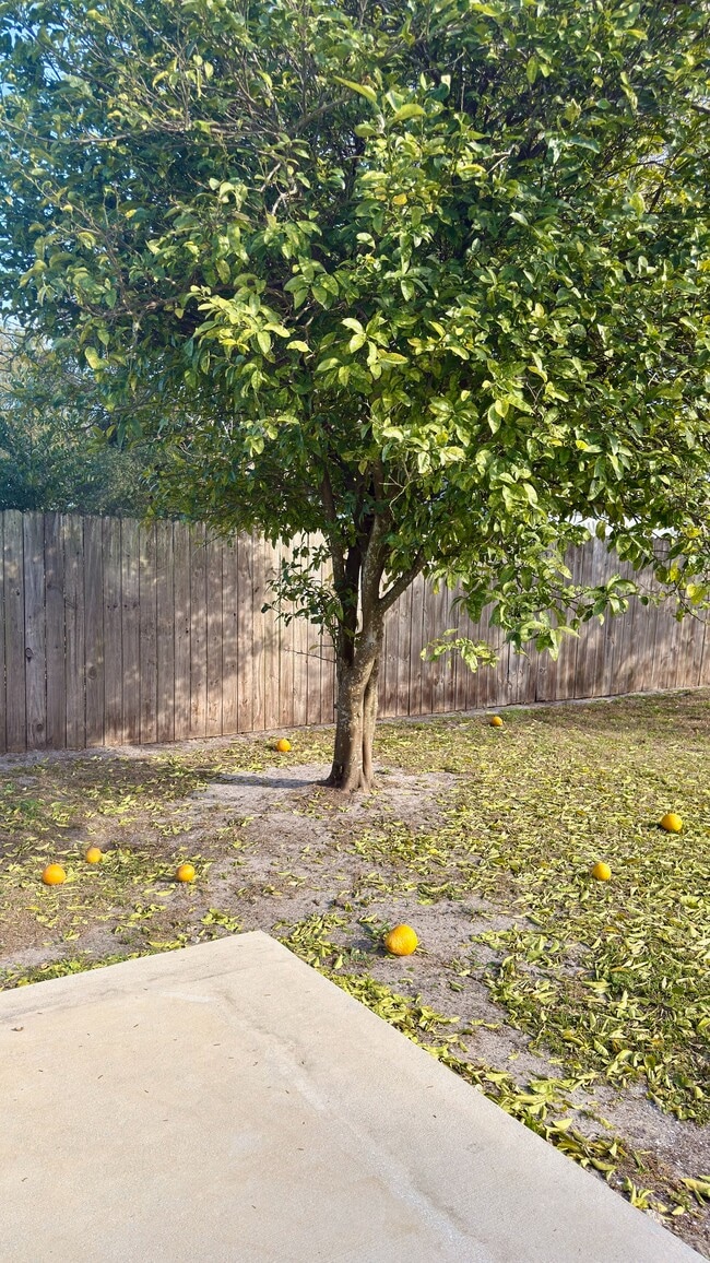 Photo - 6910 Corkwood Rd