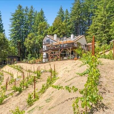 Photo - 55 Hidden Meadow Ln