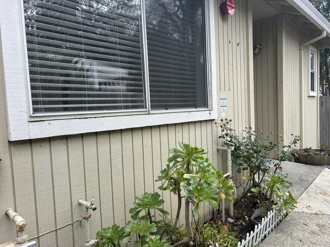 Building Photo - NB 463 Unit 8