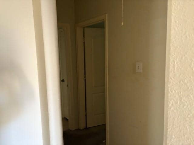 Photo - 20834 Twila Springs Dr