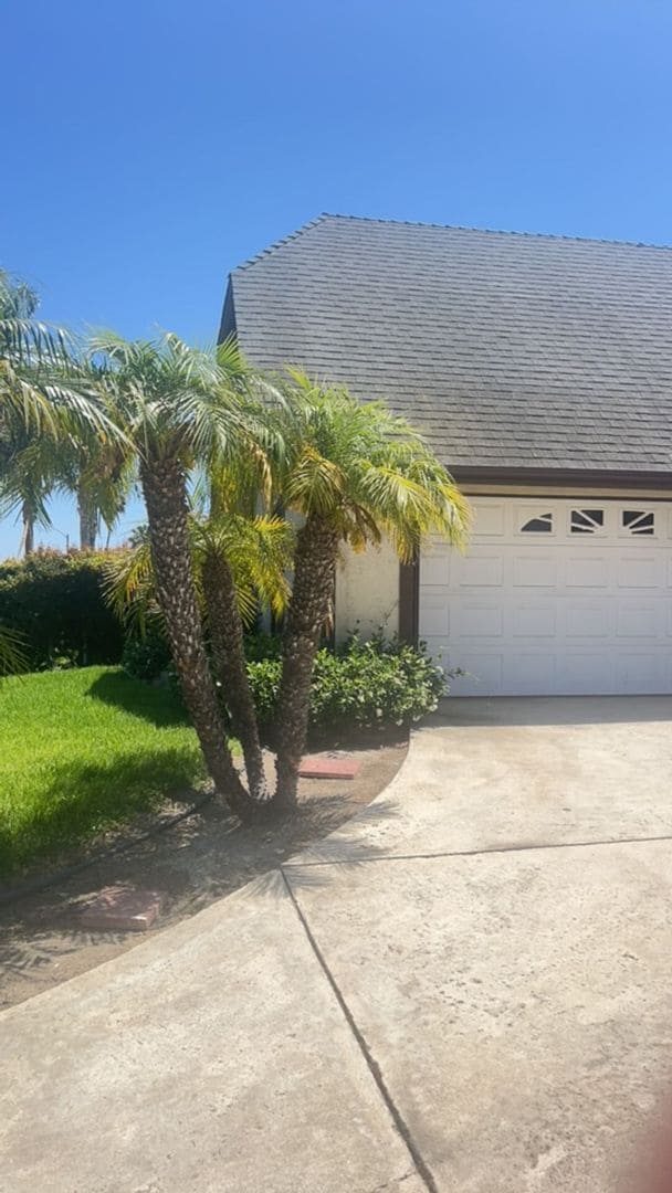 Cozy 4 bedroom in Vista - Cozy 4 bedroom in Vista Casa