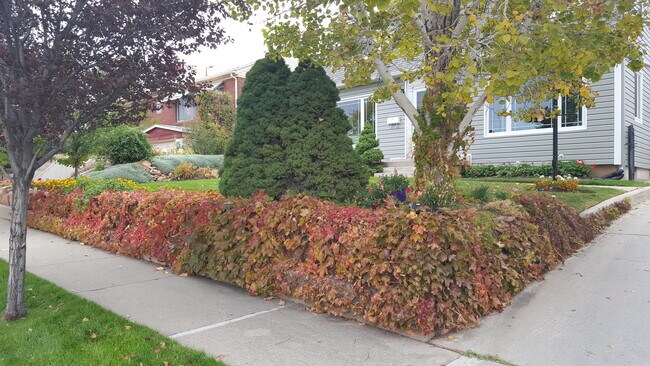 Nice one bedroom basement apartment. Close to everything - 1501 S 2300 E Apartment Unit Basement