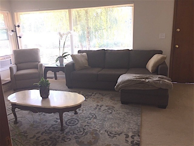 Photo - Classic Northgate Rambler