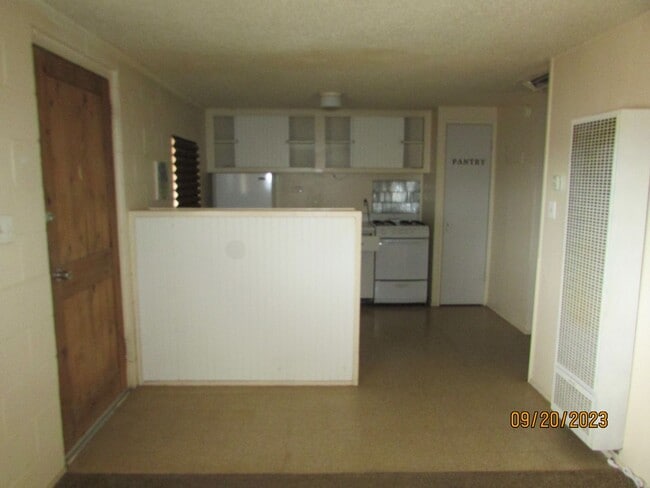 Photo - 114 S Iron St Unit 1