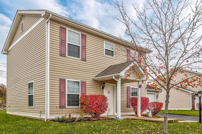 Photo - Webster Greene