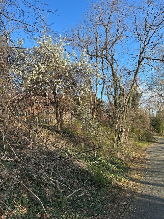 Walking path - 1718 W Abingdon Dr Unit 301