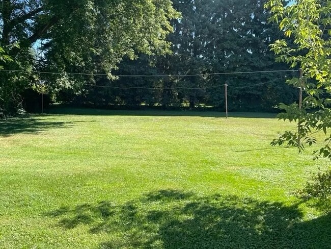 Backyard - 2823 Pittsburgh Ave