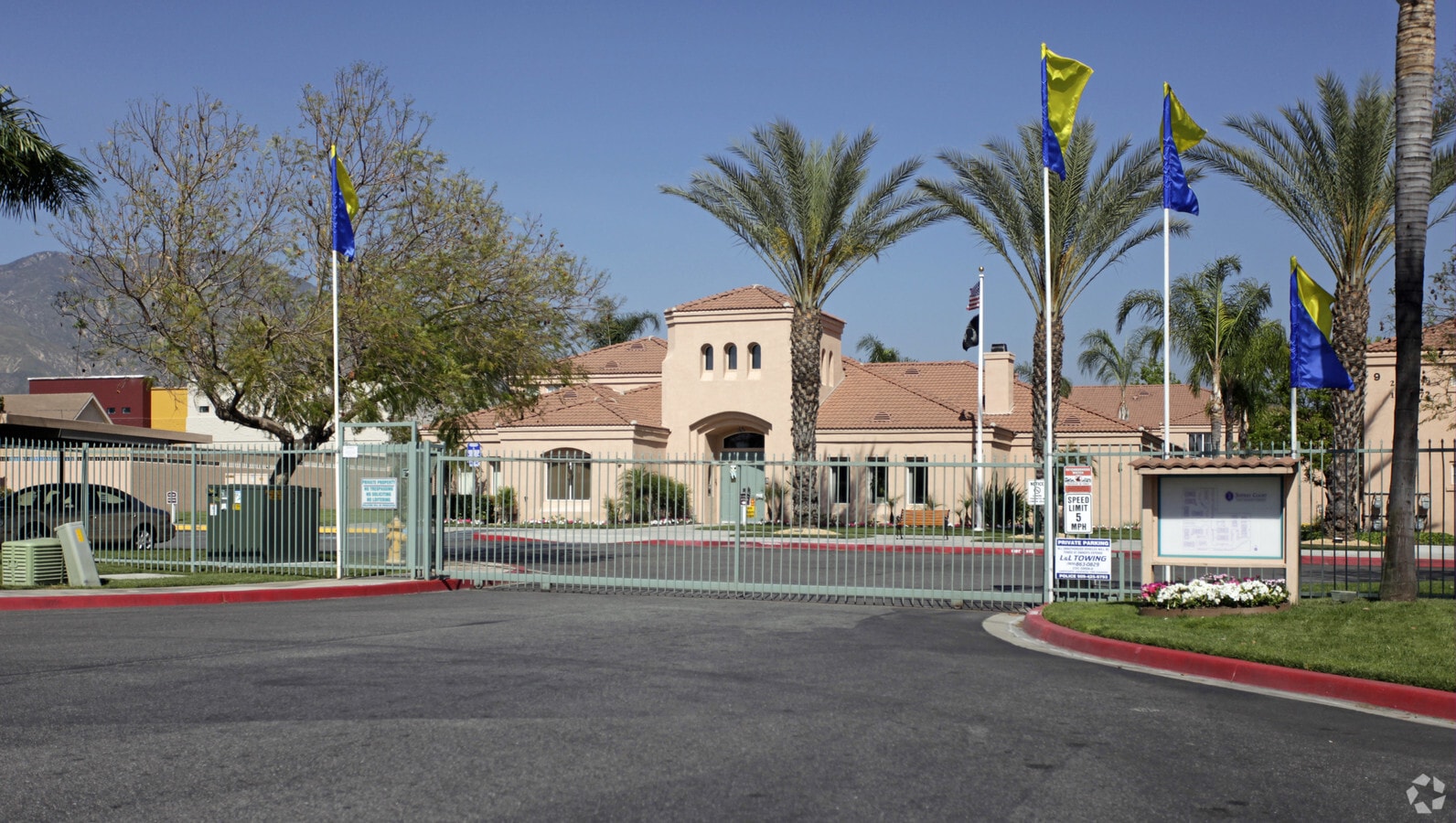 Photo - Jeffrey Court